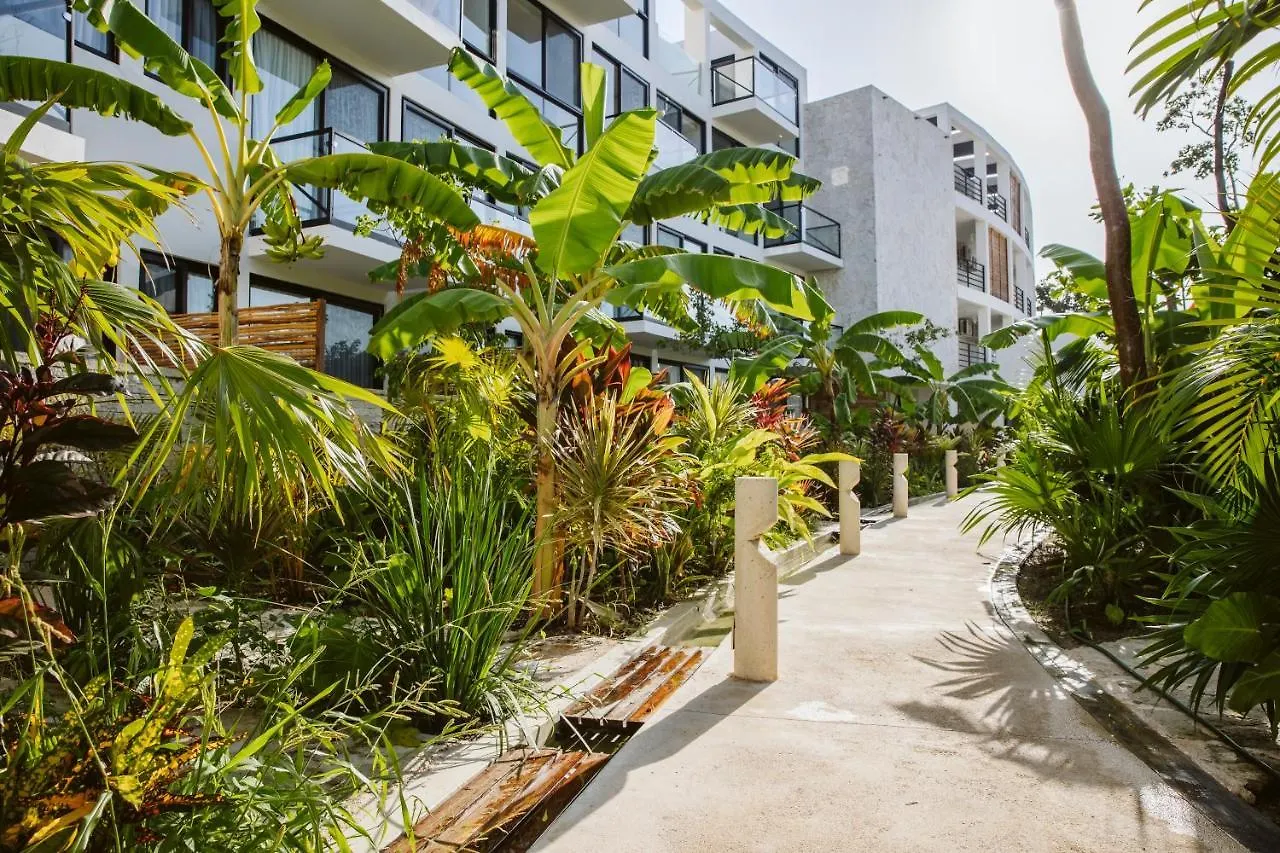 The Waves Tulum By Bnb Experience